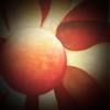 robinbradshaw11